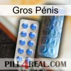 Gros Pénis 40